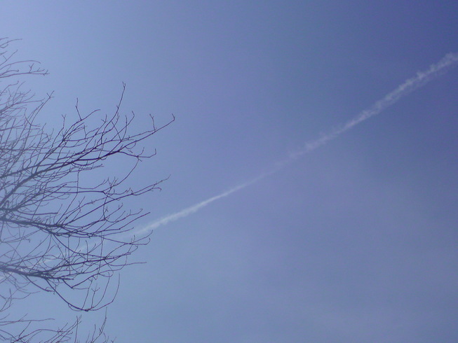 ���V���F�̐��E