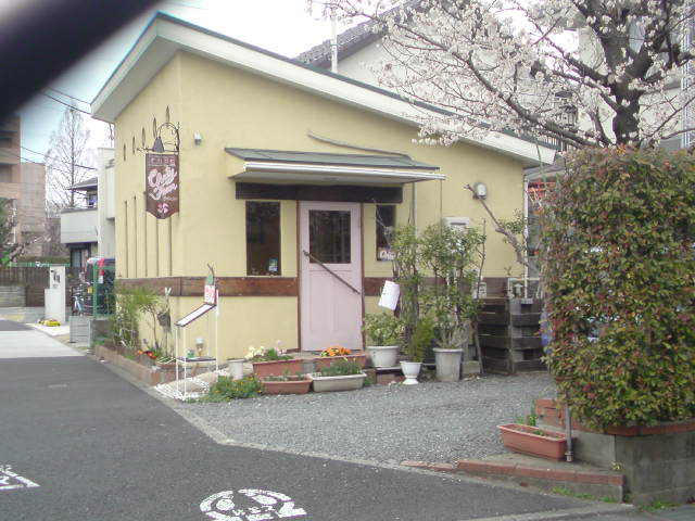 ���V���F�̐��E