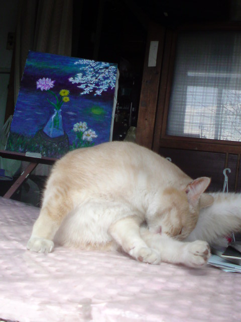 ���V���F�̐��E