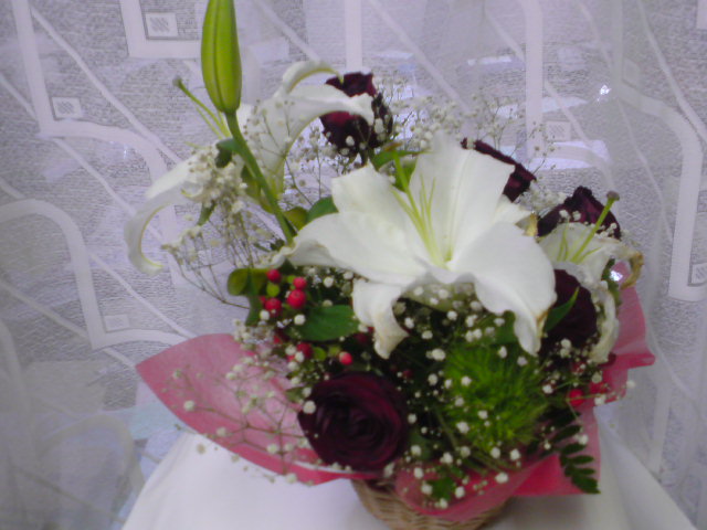 ���V���F�̐��E