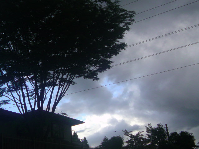 ���V���F�̐��E