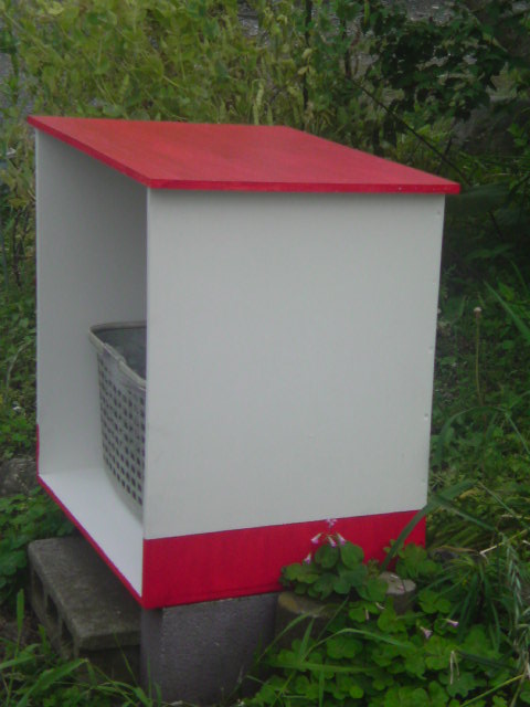 ���V���F�̐��E