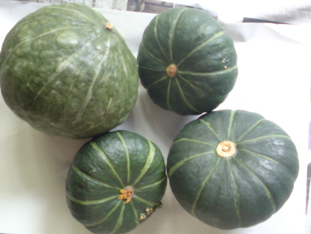 ���V���F�̐��E