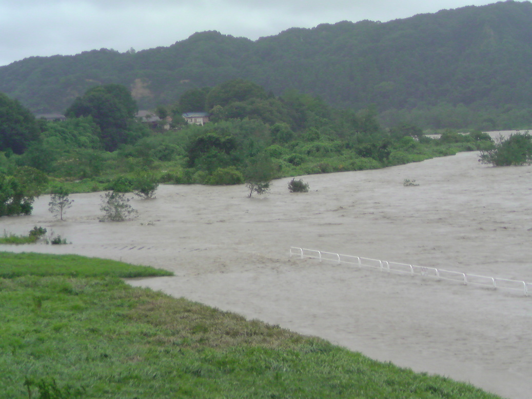 ���V���F�̐��E