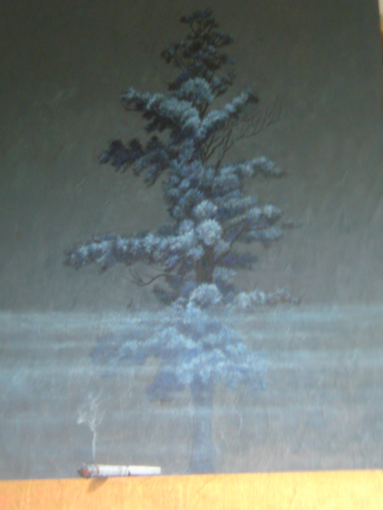 ���V���F�̐��E