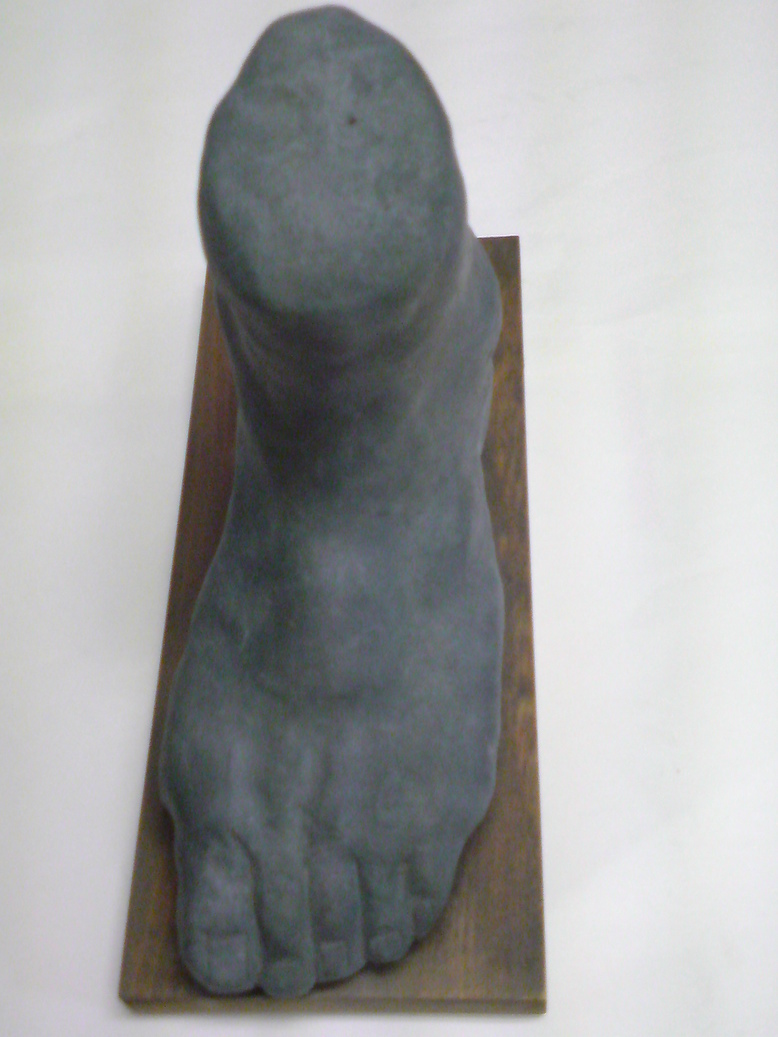 ���V���F�̐��E