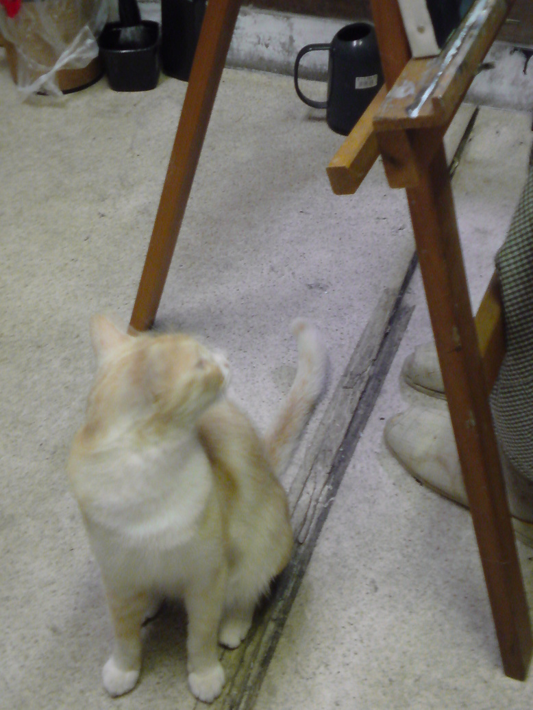 ���V���F�̐��E