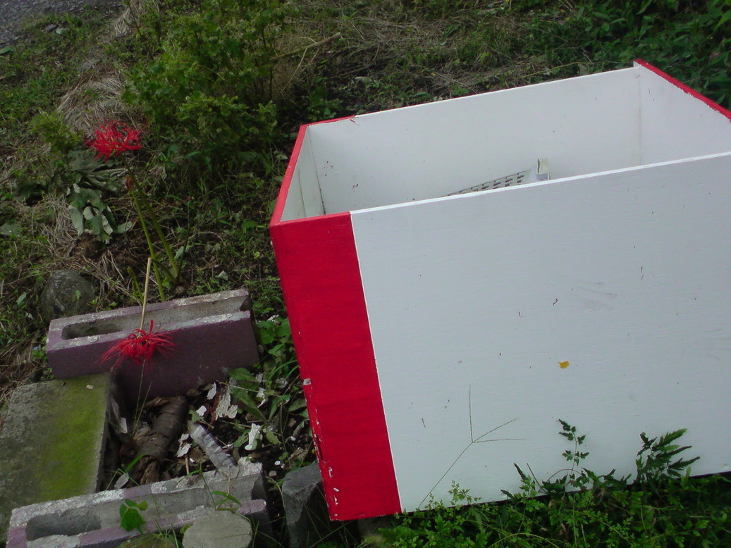 ���V���F�̐��E