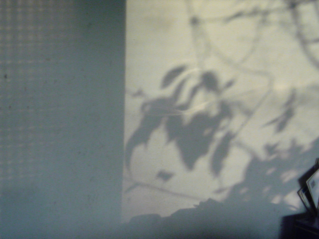 ���V���F�̐��E