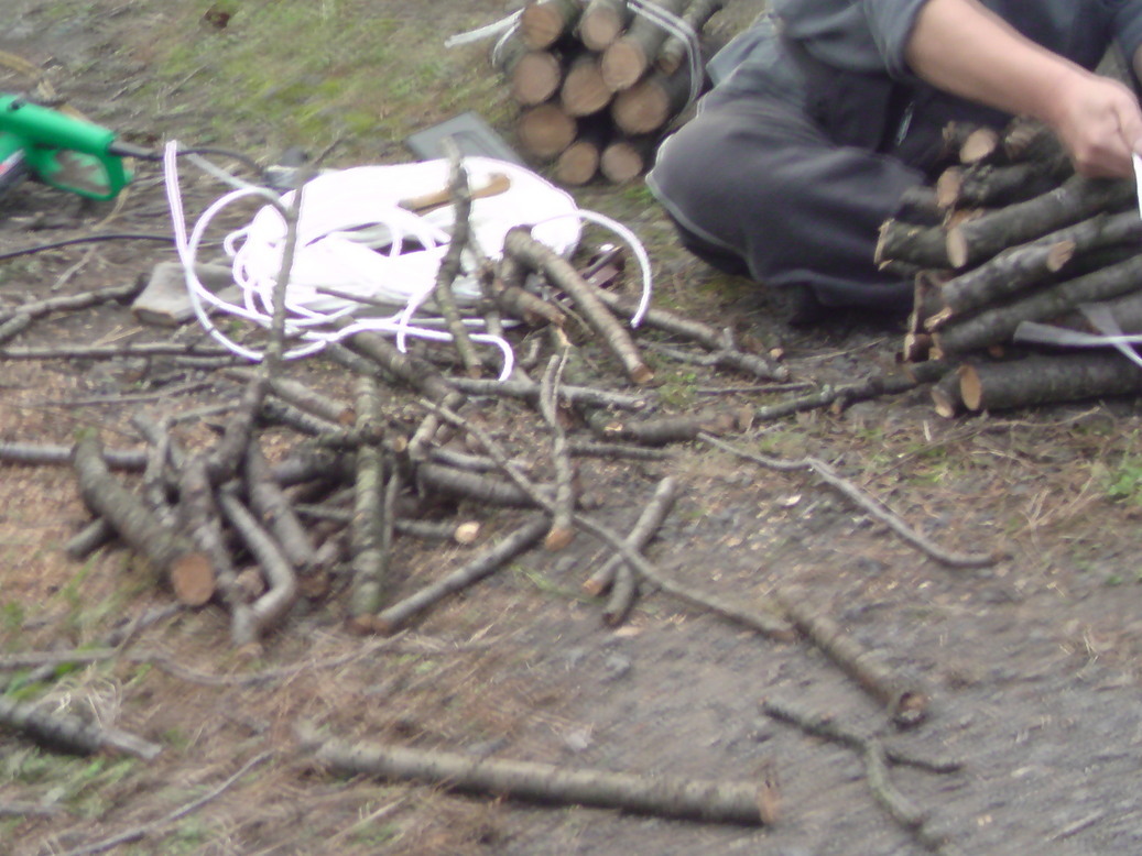 ���V���F�̐��E