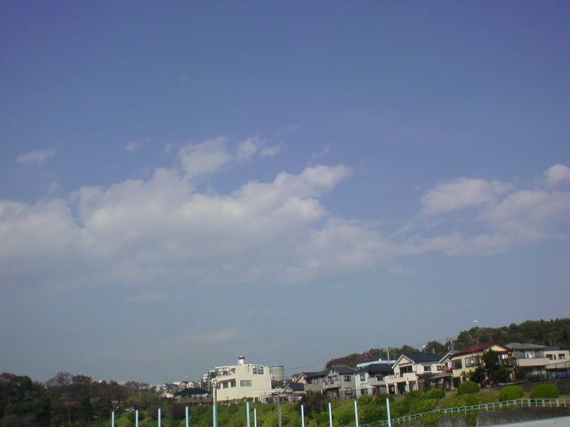 ���V���F�̐��E