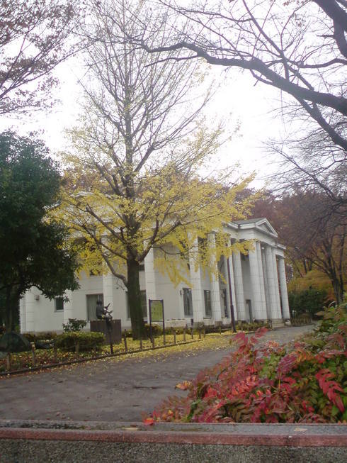 ���V���F�̐��E