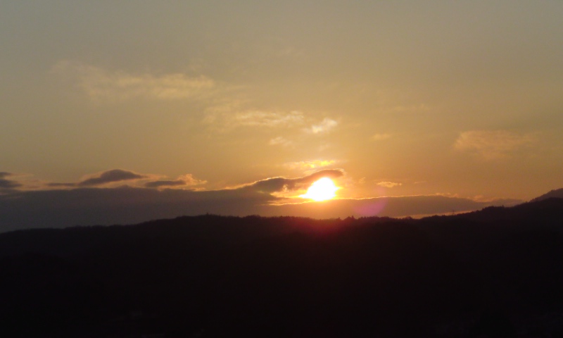 ���V���F�̐��E