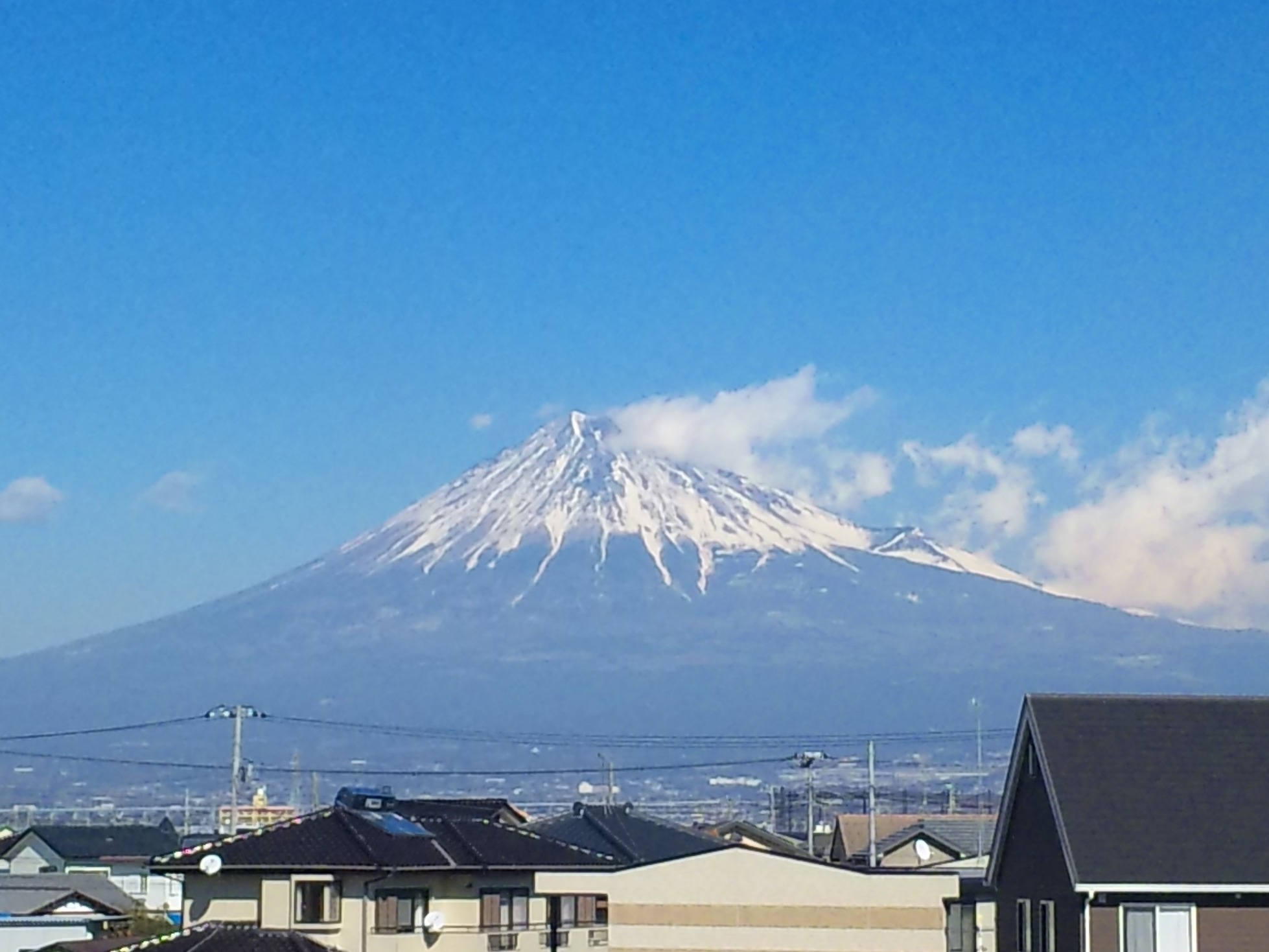 ���V���F�̐��E