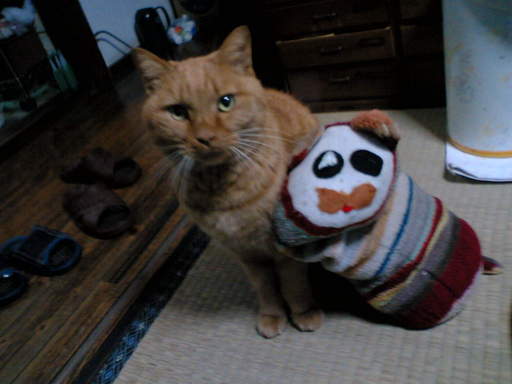 ���V���F�̐��E