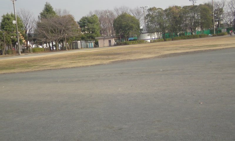 ���V���F�̐��E