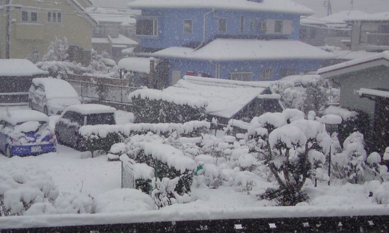 ���V���F�̐��E