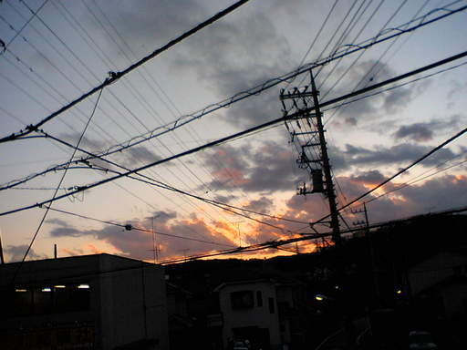 ���V���F�̐��E