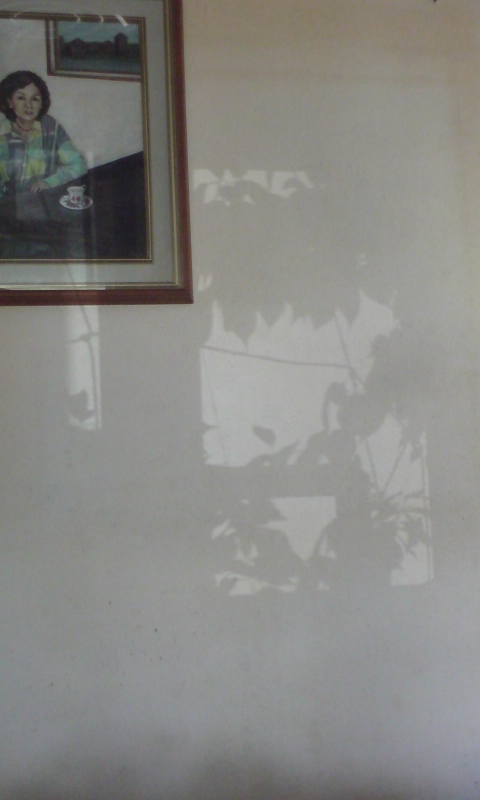 ���V���F�̐��E