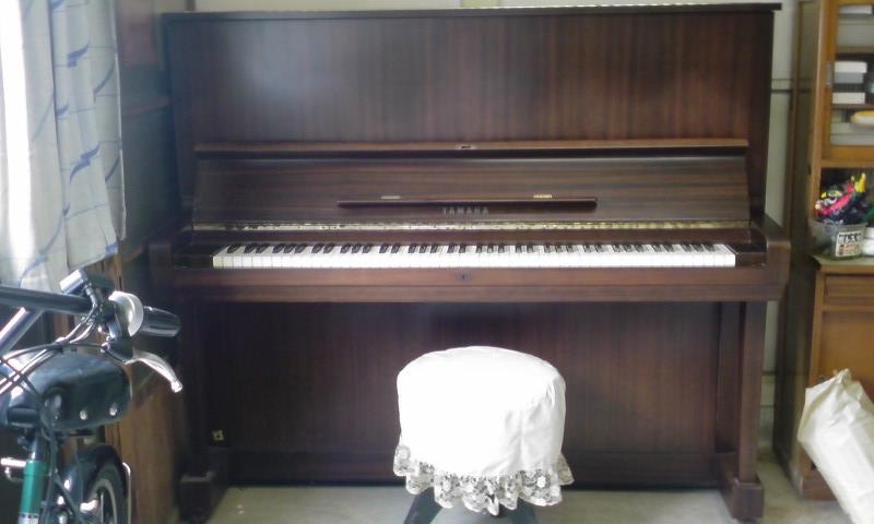 ���V���F�̐��E