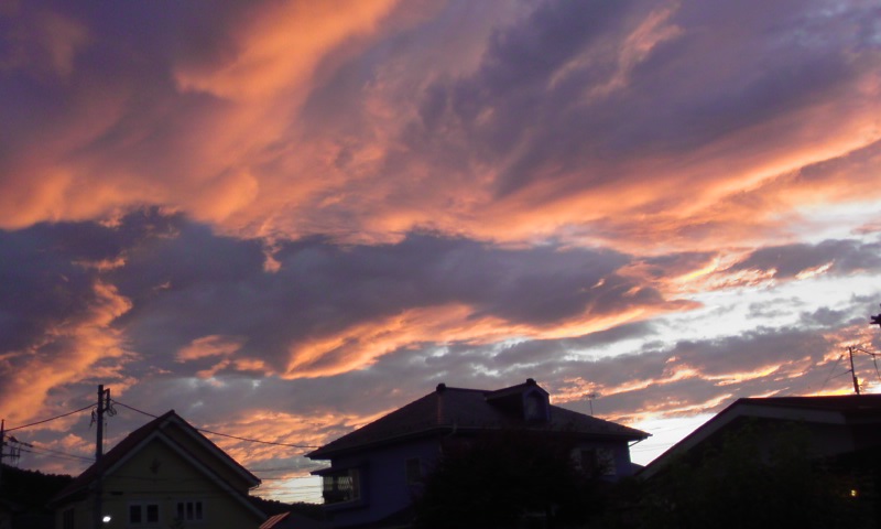 ���V���F�̐��E