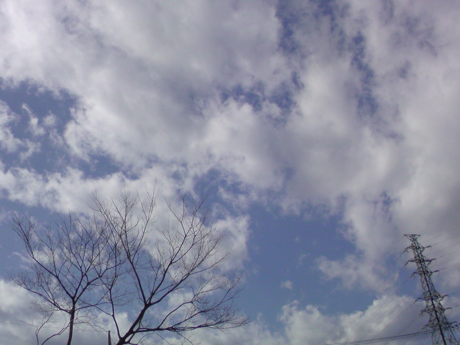 ���V���F�̐��E