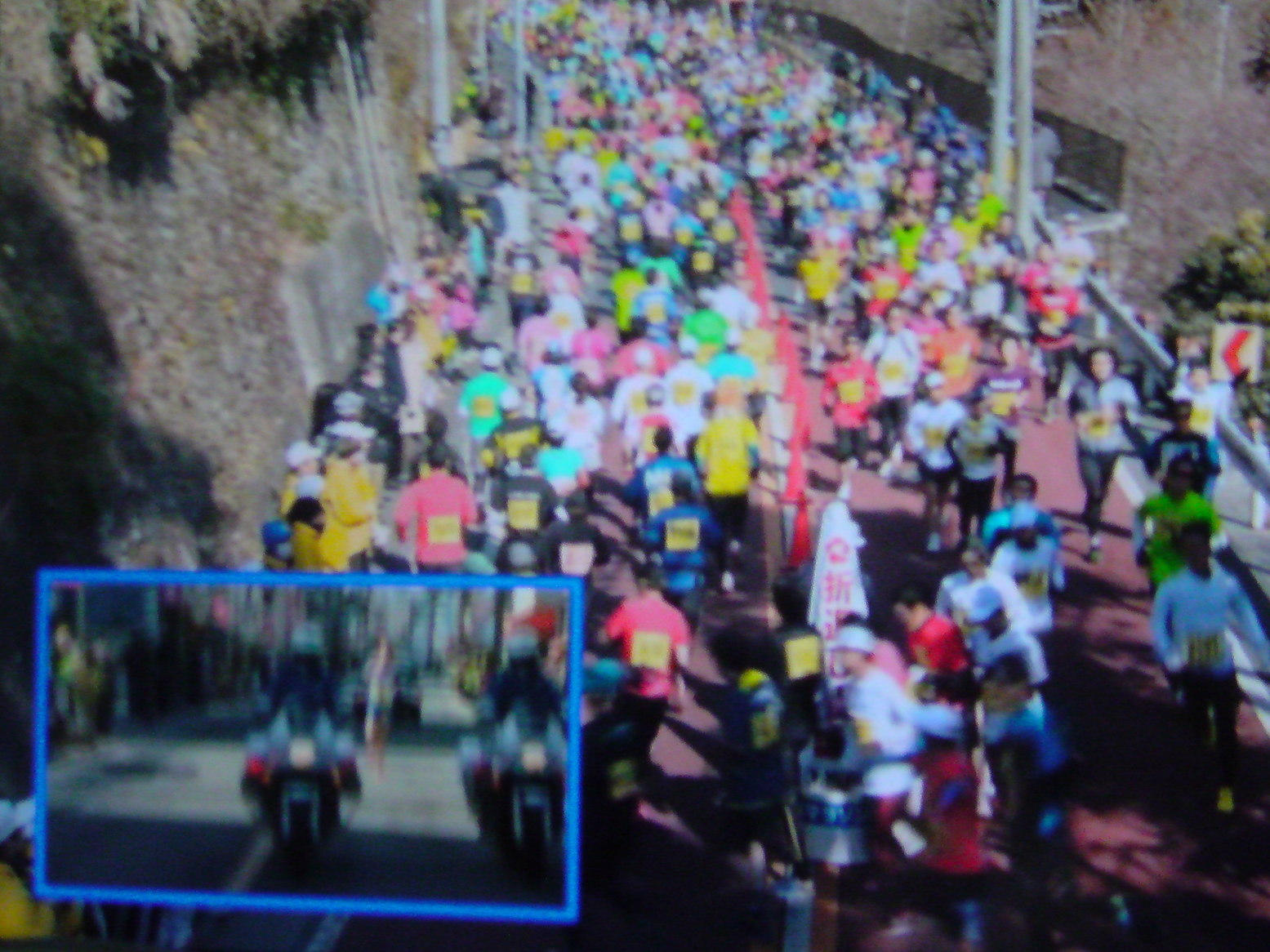 ���V���F�̐��E