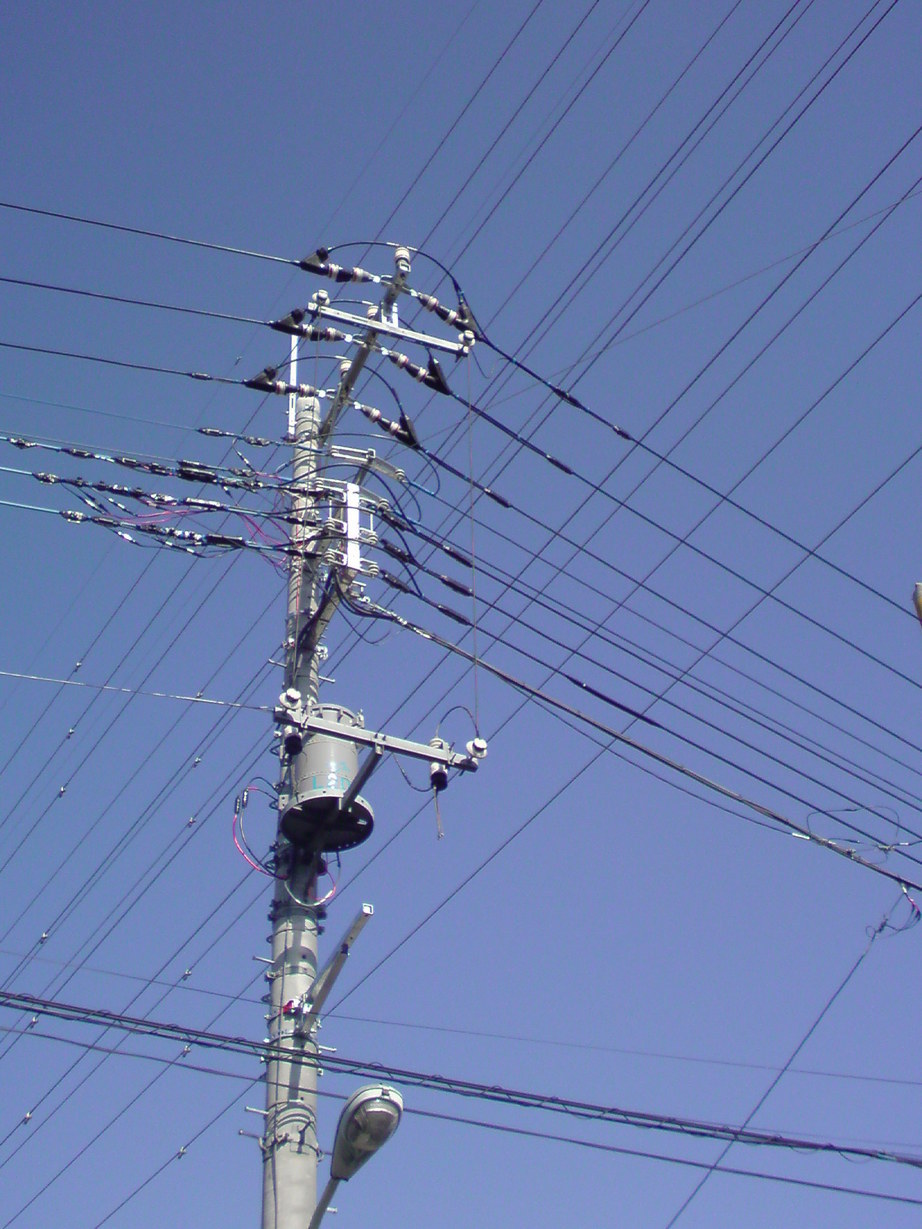 ���V���F�̐��E