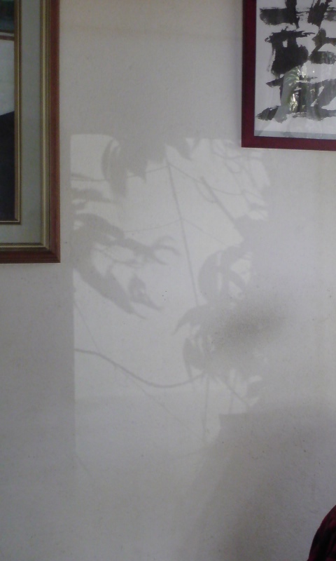 ���V���F�̐��E