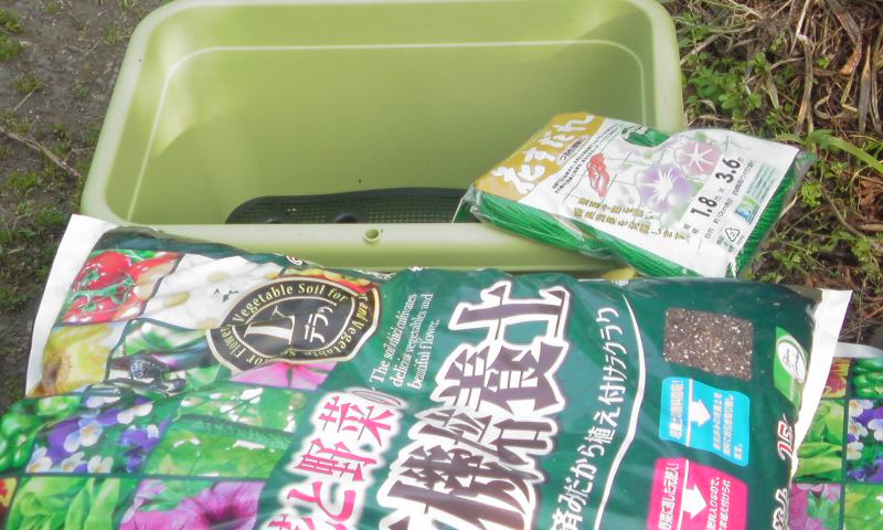 ���V���F�̐��E