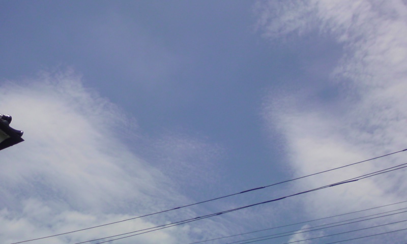 ���V���F�̐��E