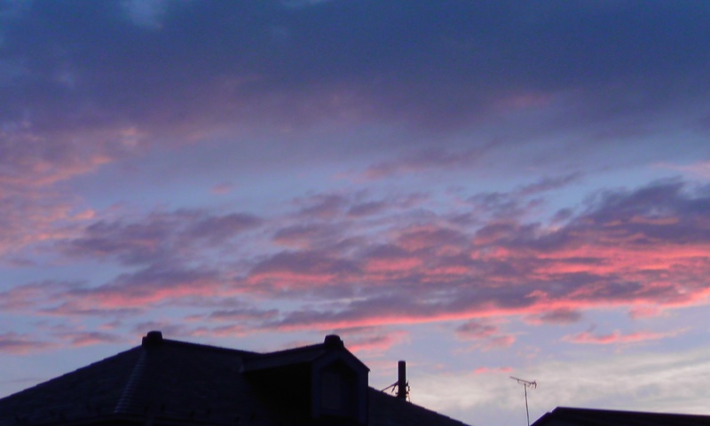 ���V���F�̐��E