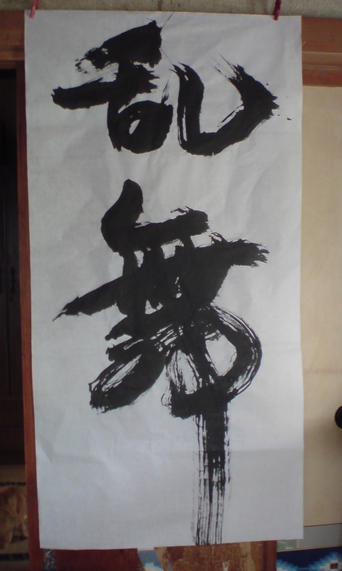 ���V���F�̐��E