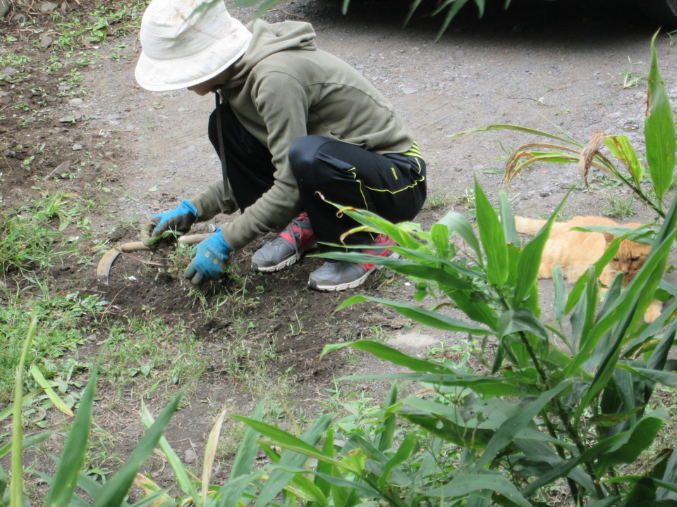 ���V���F�̐��E