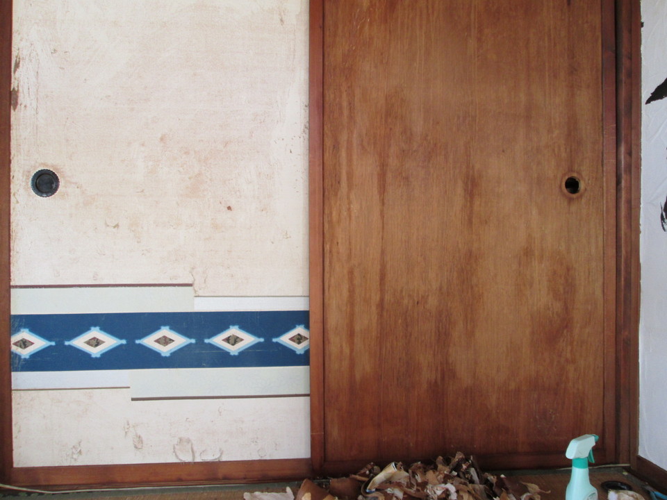 ���V���F�̐��E