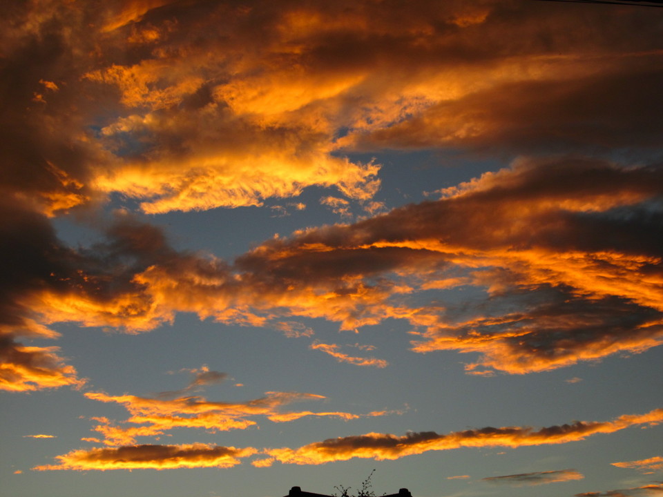 ���V���F�̐��E