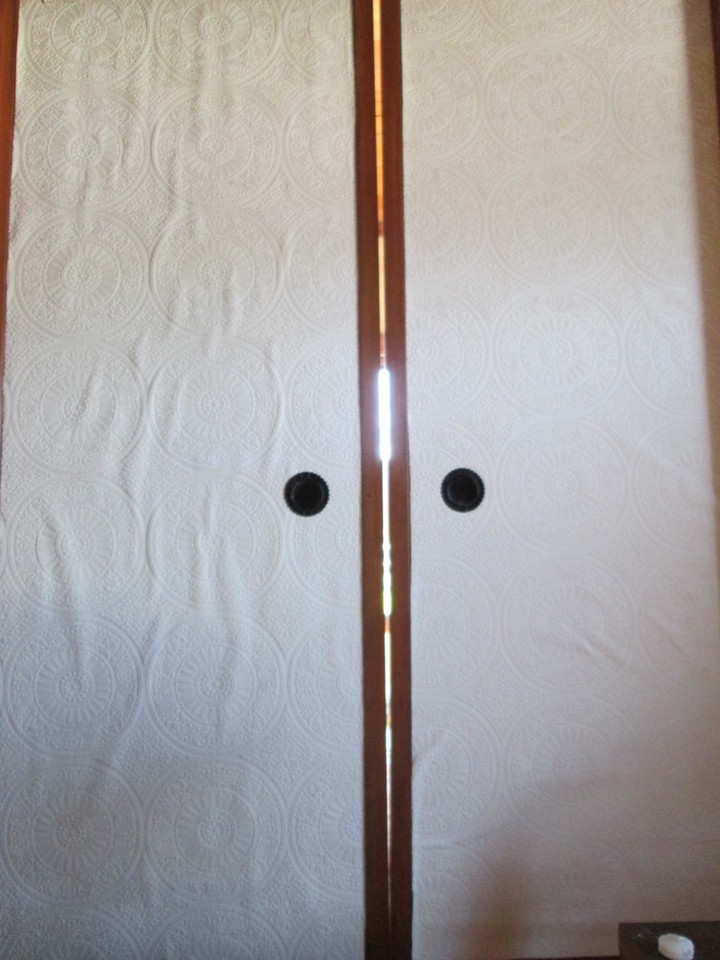 ���V���F�̐��E