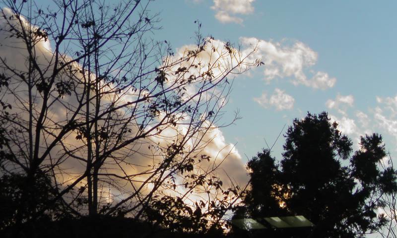 ���V���F�̐��E