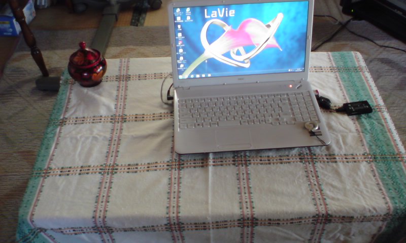 ���V���F�̐��E