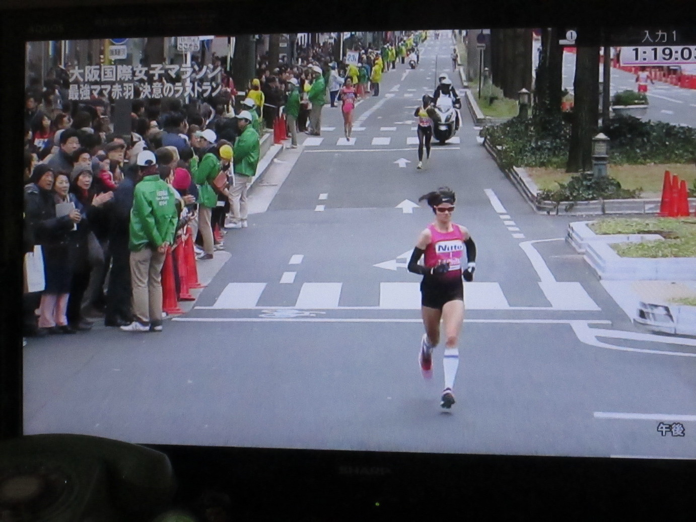 ���V���F�̐��E