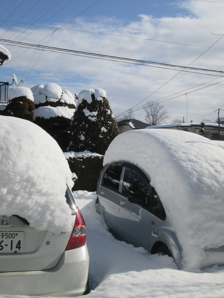 ���V���F�̐��E