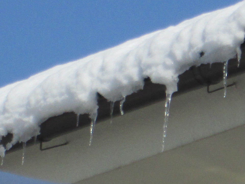 ���V���F�̐��E