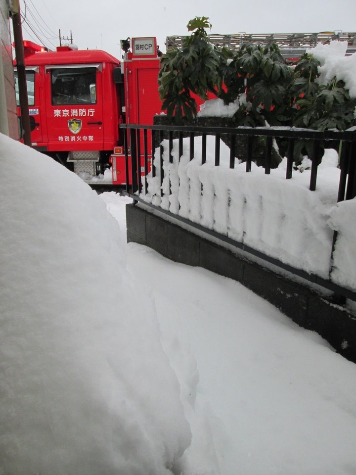 ���V���F�̐��E