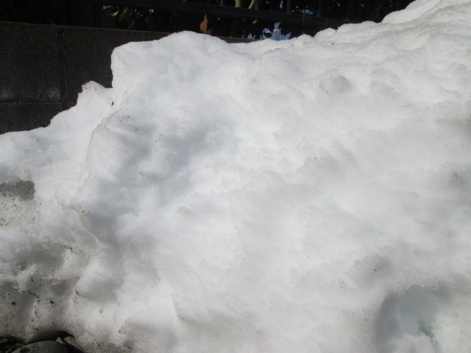 ���V���F�̐��E