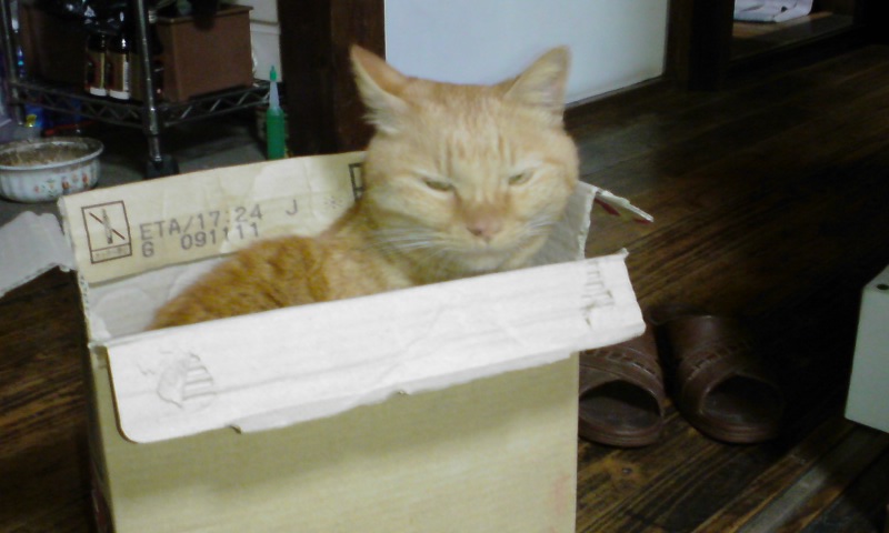 ���V���F�̐��E