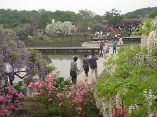 ���V���F�̐��E