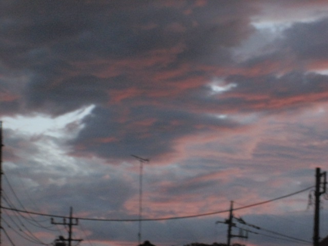 VF̐E