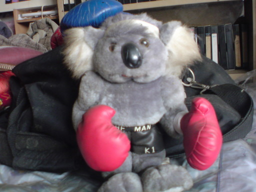 ���V���F�̐��E