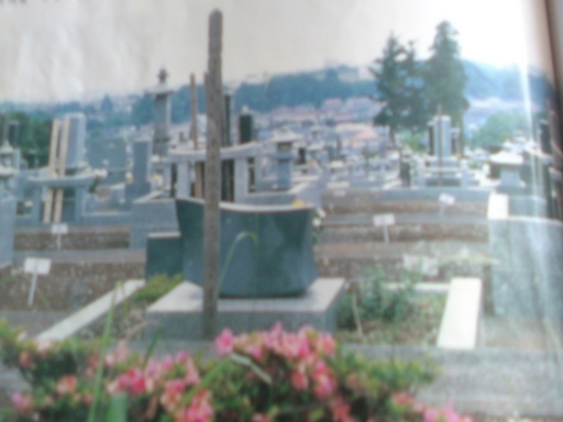 ���V���F�̐��E