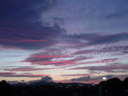 ���V���F�̐��E